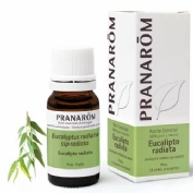Aceite esencial eucalipto radiata (1 envase 10 ml)